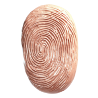 Textured fingerprintlike pattern in a circular shape represents identity and uniqueness png