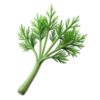 stunning modern Dill Sprig Fresh Transparent Background high resolution png