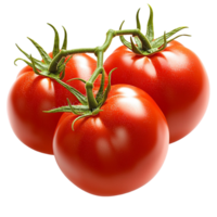 Ripe red tomatoes on a vine with a glossy surface png