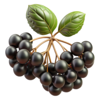 impressive abstract Elderberry Cluster Black Cutout with Stem and Leaf Detail genuine png