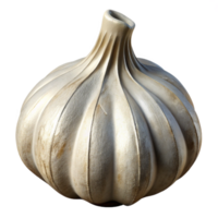 dramatic classic Garlic Bulb White Cutout with Cloves original png