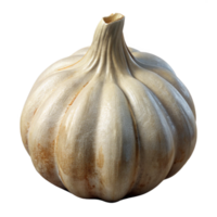 wonderful traditional Garlic Clove Peeled Cutout Isolated Element genuine png