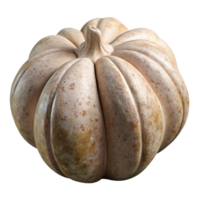 extraordinary rustic Garlic Clove Peeled Cutout Isolated Element genuine png
