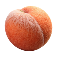 extraordinary abstract Peach Whole Fuzzy Skin Transparent Background authentic png