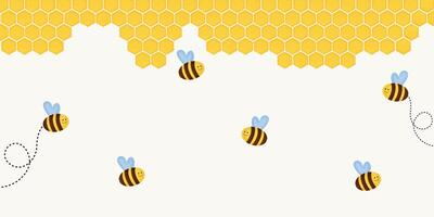 Honeycomb and honey bee background. vector