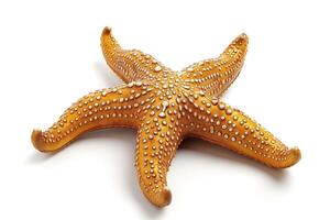A vibrant orange starfish on a pristine white background, showcasing its unique texture and shape. photo
