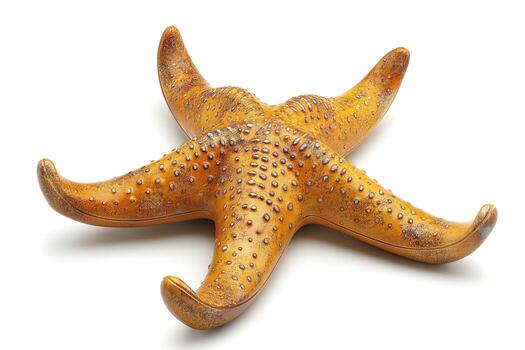 A vibrant yellow starfish with textured skin, showcasing its unique patterns and form on a white background. photo
