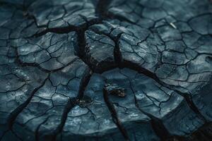 A close-up view of a charred tree stump showcasing intricate textures and cracks. photo