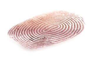 An intricate fingerprint design in soft shades of blush, representing individuality and security. photo