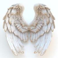 Elegant white angel wings with intricate feather details, conveying a sense of purity and grace. photo