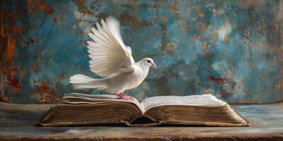 A graceful white dove takes flight from an open book, symbolizing peace and knowledge against a rustic blue background. photo