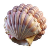 elegant abstract A close-up of a seashell with intricate patterns, macro photography, soft lighting authentic png