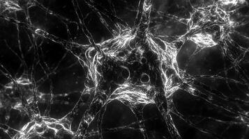 Monochrome depiction of neural connections, highlighting intricate networks and biological structures. Highlighting neuron activity. photo