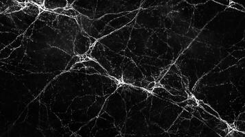 Intricate network of veins, like lightning on a dark night, against a solid black backdrop. A mesmerizing display of natural patterns. photo