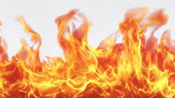 A fiery display of vibrant orange and yellow flames dancing against a transparent background. Heat rises in undulating waves, creating a warm. photo