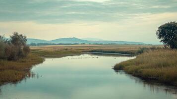 Calm river scene with grassy banks, gentle hills in the distance, and soft, muted colors creating a peaceful, natural landscape. photo