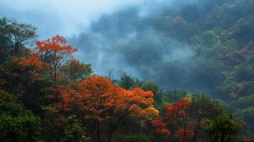 Misty mountain landscape featuring autumn foliage, vibrant trees, and ethereal atmosphere with colors from orange to green in forest. photo