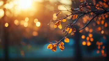 Golden hour illuminates delicate autumn leaves on a branch, bokeh lights creating a magical, dreamlike effect in the background. photo