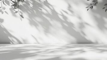 A serene and minimalistic backdrop featuring plant shadows dancing across a clean white wall, creating a tranquil, bright, and inviting space. photo