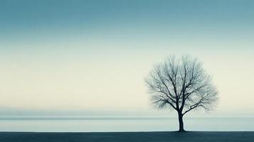 Solitary winter tree in a quiet, serene landscape. A calming presence against the pale sky and the stillness of the open water. photo