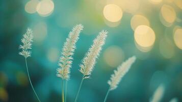 Grass plumes stand tall against an abstract background of teal and gold bokeh, capturing a serene and ethereal aesthetic. photo