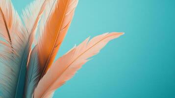 Delicate feathers in shades of orange and white against a vibrant teal backdrop, creating a soft and calming visual appeal. photo