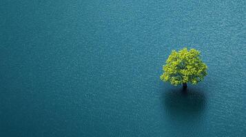 Lone tree thrives in shimmering water, symbolizing resilience and the serene beauty of nature's harmony. A tranquil scene unfolds. photo