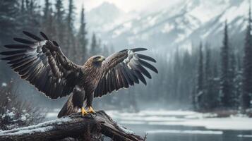 Majestic bird of prey with outstretched wings perched on a snow-covered branch, mountains in the background in a winter landscape. photo