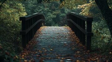 Rustic wooden bridge in a vibrant forest, adorned with fallen leaves, creating a serene autumnal scene. photo