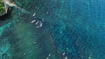 Drone view of surfers ocean and crashing swell waves. Aerial shot with surfing on wave. video