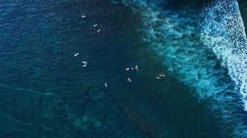 Surfers swims in ocean and crashing waves. Drone view with surfing on wave. video