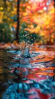 Autumn Water Splash Reflection in Forest with Vibrant Colors photo