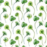 Centella asiatica in botanical style on watercolor seamless pattern. Rounded leaves on stems of pennywort plants hand drawn. Gotu kola foliage endless background for package, label, textile vector