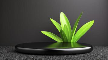 A black round table with a plant on it photo