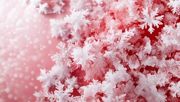 Close-up of delicate snowflakes on a soft, pink background. photo