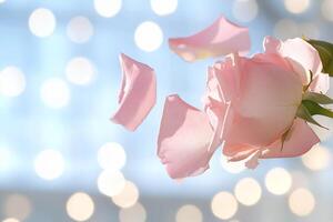 A pink rose is in the air with a bokeh background photo