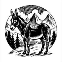 Beautiful shot of a cute donkey standing vector
