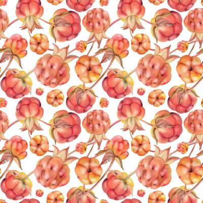 Cloudberry raspberry sloe fruit with dew water drops, forest berry mulberry loganberry boysenberry, hand drawn in watercolor. Seamless pattern tile illustration. Restaurant, cafe menu, farmers market