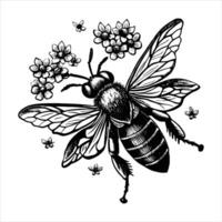 bee with pollen vector