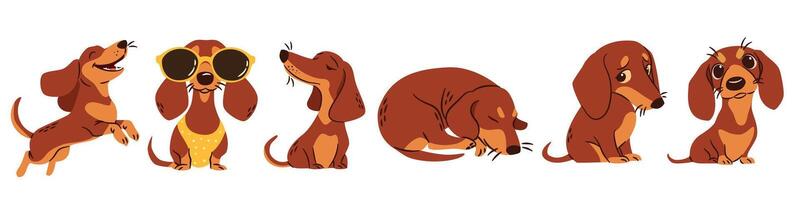 A set of flat illustrations in a simple children's style. Cute dachshunds in different poses. Happy dogs sleeping and playing vector