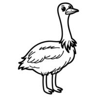Cute ostrich illustration black and white line drawing of a standing bird vector