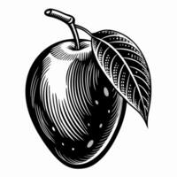 Intricate Black and White Etching of a Mango with Leaf in Vintage Style vector
