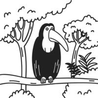 Toucan illustration sitting on branch in forest black and white line art drawing of tropical bird in jungle vector