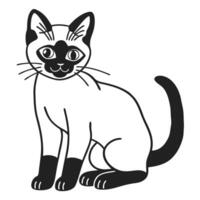 Illustrated black and white cat with distinct markings simple line art feline design, playful pet concept vector