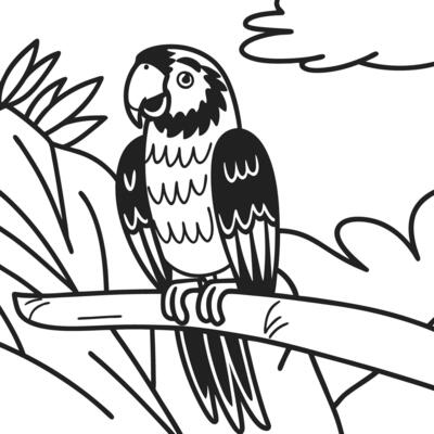 Parrot on a branch, black and white illustration tropical bird in nature, simple line art drawing
