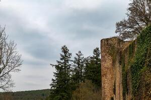 Historic stone castle tower surrounded by trees and cloudy sky in peaceful landscape photo