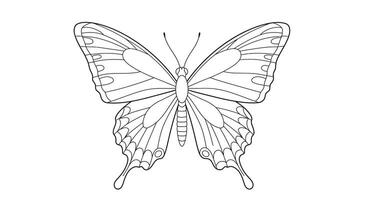 Stock coloring page featuring a butterfly with long trailing wings like a kite vector