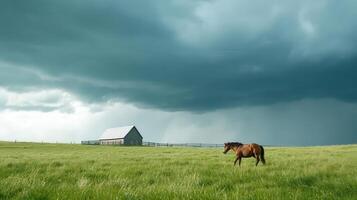 A horse in a field under a stormy sky photo
