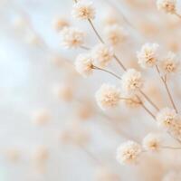 An abstract representation of dried petals, gentle earthy hues, muted patterns, and ethereal perspective. photo