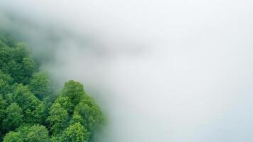 An aerial shot captures a fog-covered bridge, with soft pastel hues enveloping the scene in cinematic silence. photo